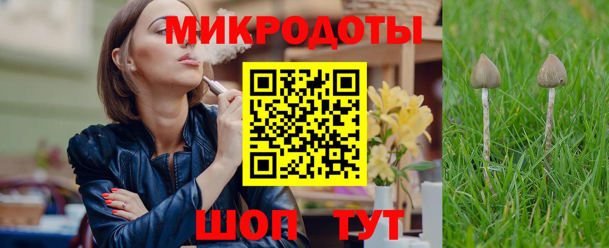 Псилоцибиновые грибы мицелий  Вход с VPN  Унеча 